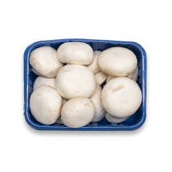 Modem Mushrooms 8oz