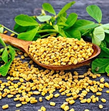 Methi Seeds 7 Oz