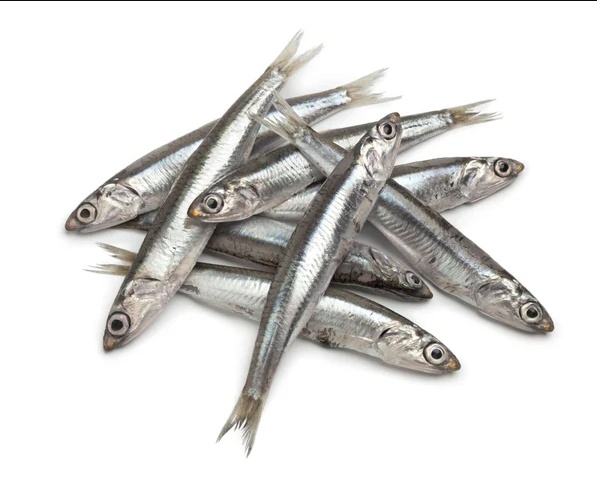 Anchovy 250G
