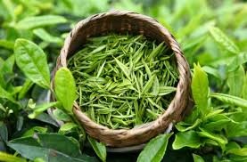 China Green Tea