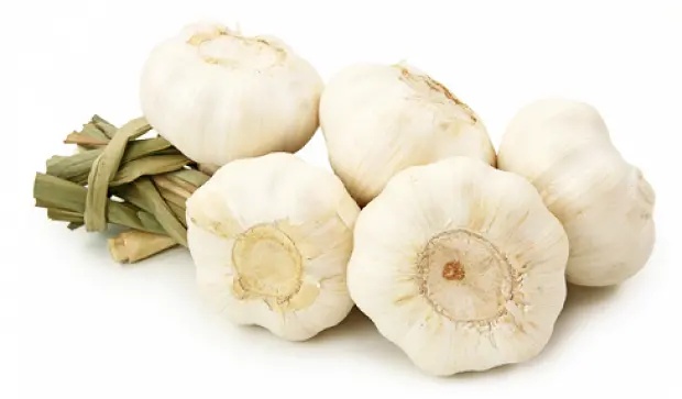 Garlic 5 Pcs