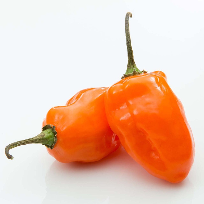 Habanero Pepper