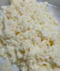 Kefir