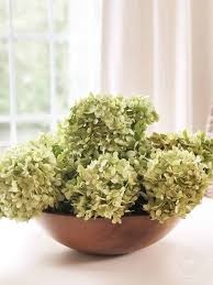 Dry Lime Light