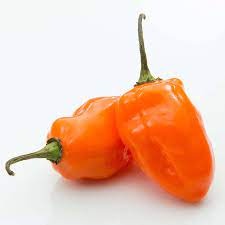 Habanero Peppers