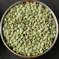 Green Lentil