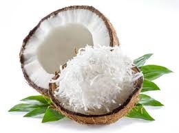 Coconut Shredded 800G