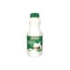 Bahcivan Yogurt Drink Mint