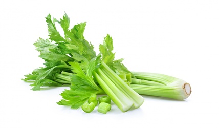 Fresh Celery