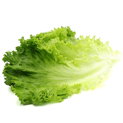 Iceberg Lettuce