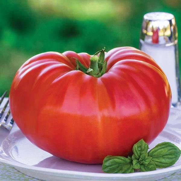 Beef Steak Tomatoes