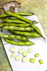 Fava Beans 16Oz