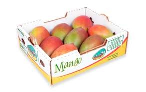 Marathon Mango 8 Piece Box Each 149