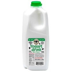 Karoun Yogurt Drink, Mint Flavor