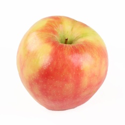 Honey Crisp Apple
