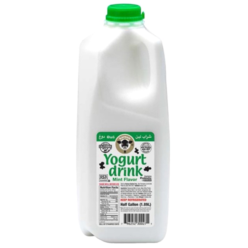 Karoun Yogurt Drink, Mint Flavor