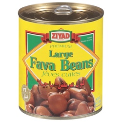 Ziyad Premium Large Fava Beans