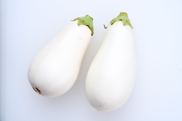 White Eggplant