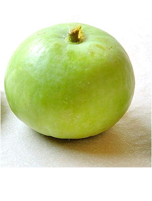 Indian Squash
