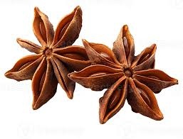 Gazab Star Anise (spices)