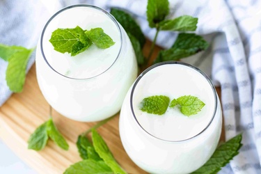 Green Cedar Lowfat Shanina Yogurt Drink