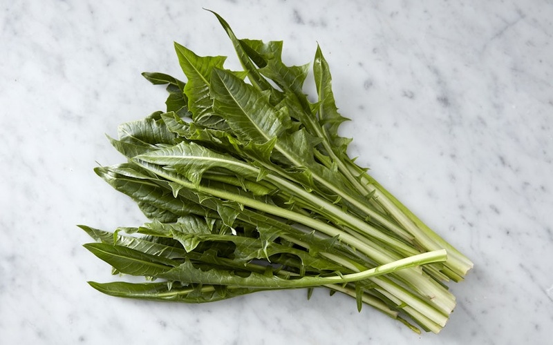 Green Dandelion Each