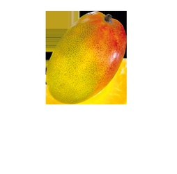 Mango Mangue