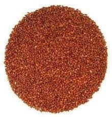 Gazab Hallow Asaliya/ Asario Seeds 7oz