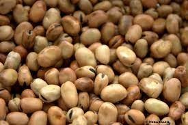 Foul Medames