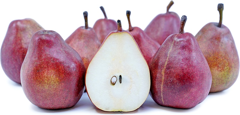 Red D'anjou Pears