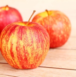 Honeycrisp Apple