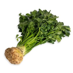 Celery Roots