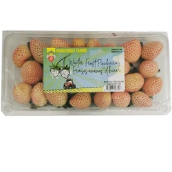 Fruit Strawberries - Winter Frost