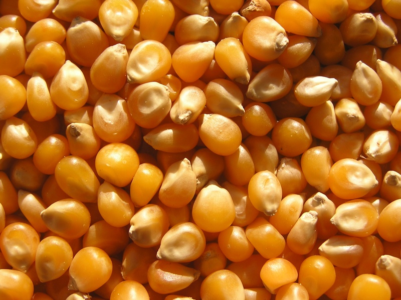 Kernels