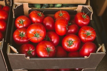 Vine Ripe Tomato Box