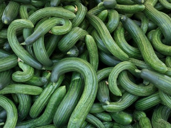 Curly Cucumber