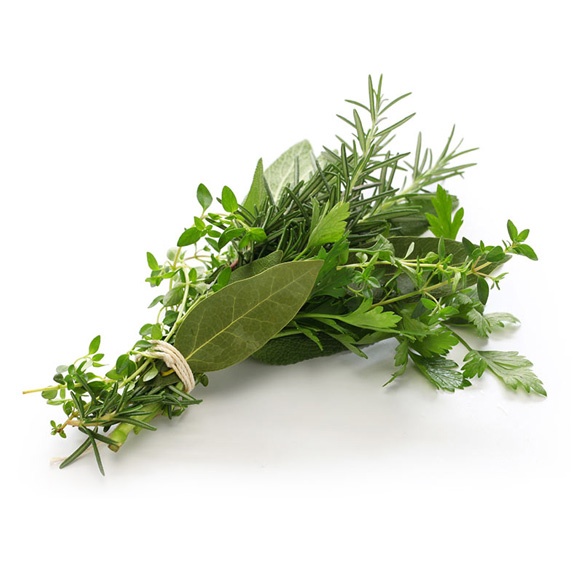 Basil/Rosemary/Chives Bunch