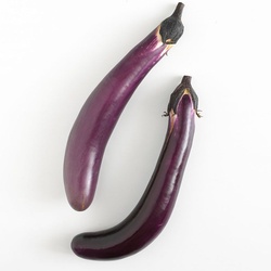 Graffitia Eggplant