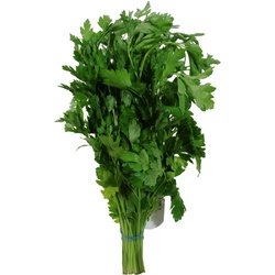 Fresh Italian Parsley