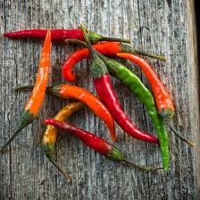 Jwala Chili
