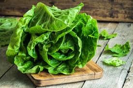 Romaine Lettuce Each