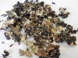 Dagad Phool 3.5 Oz