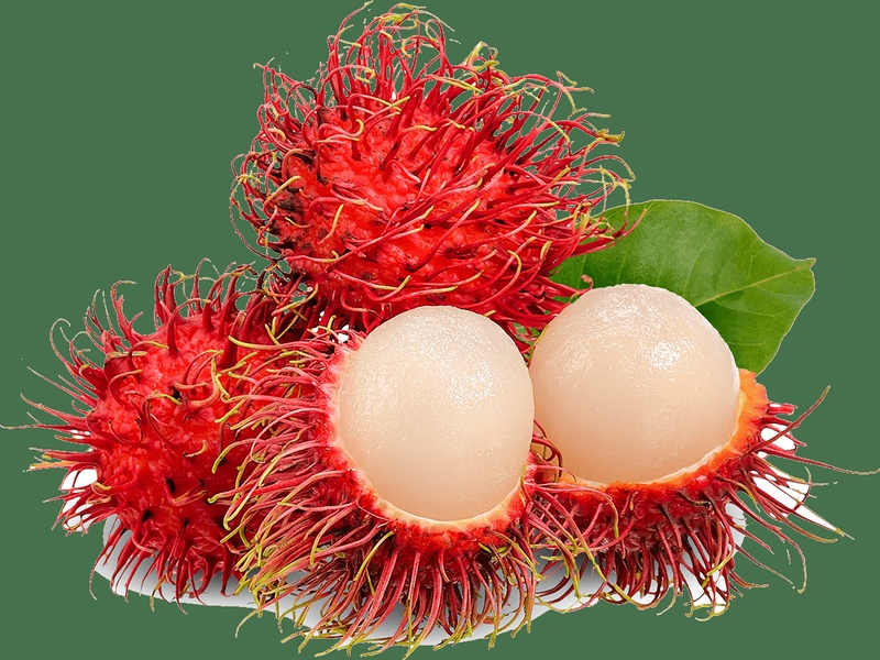 Rambutan