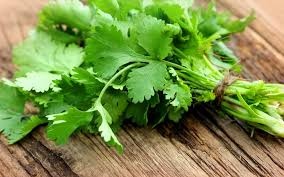Cilantro Leaves 7 Oz
