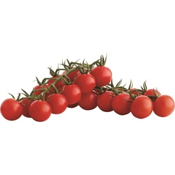 Sunset Flavor Bombs On The Vine Cherry Tomatoes 12 Oz Clam Shell