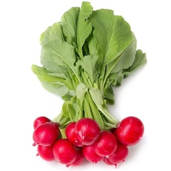 Radish Bunch Each