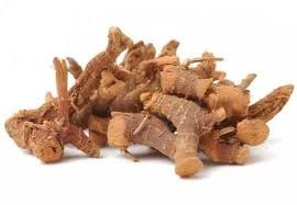 Galanga 50 G
