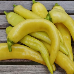 Sweet Banana Peppers