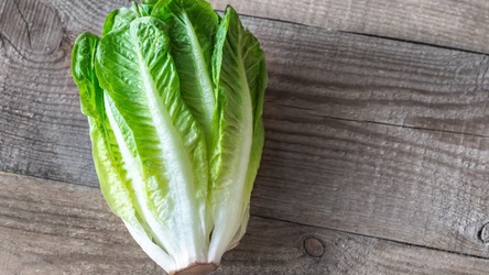 Romaine Heart Lettuce Each