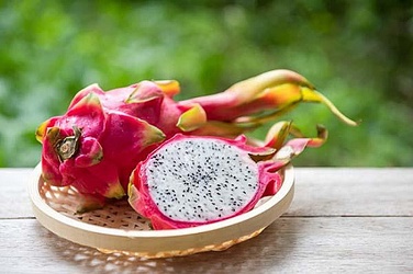 Dragon Fruit